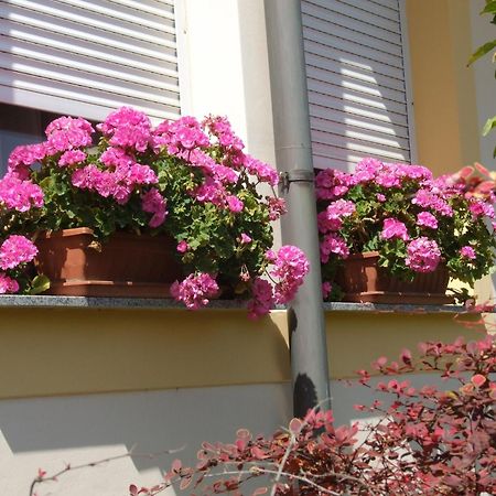 Apartment Revesz Harkan Exterior foto